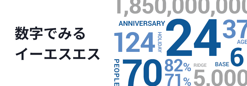 数字でみるイーエスエス